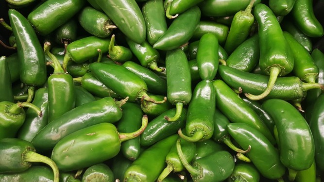 Jalapenos 1320629 1920