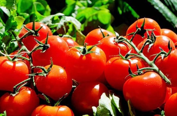 Tomato Cluster